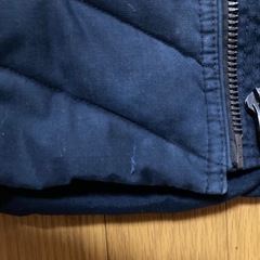 TS DESIGNベストの画像