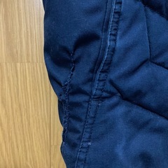 TS DESIGNベストの画像