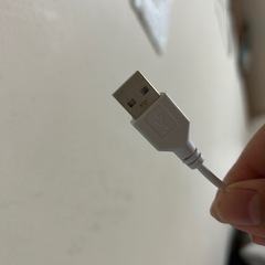 きのこ照明💡ライトの画像