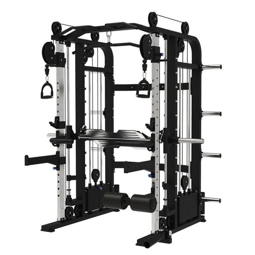 EVOLGEAR エヴォルギア マルチファンクショナルラック ベンチ プレート付き