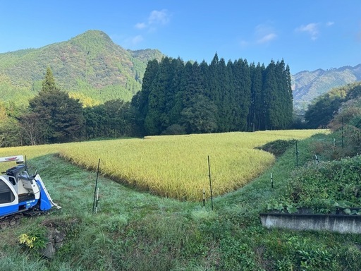 【残りわずか】令和７年　新米　あきげしき　玄米30キロ 南阿蘇産　数量限定　熊本県