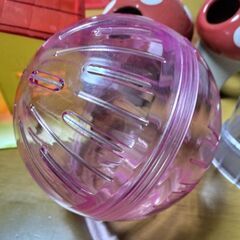 ハムスター備品セットの画像
