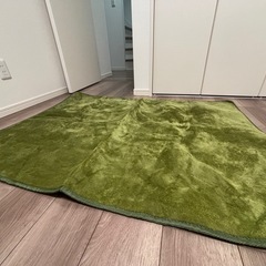 グリーン　ラグ　絨毯の画像