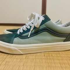 VANS鞋—スケートシューズの画像