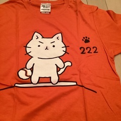 東京ドーム　巨人(ジャイアンツ)  　猫ピッチャーTシャツ& オルゴール(闘魂こめて)  の画像