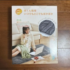 電気カーペット❣️1畳 180×80cm ダニ退治機能 電気毛布 敷き シングルの画像