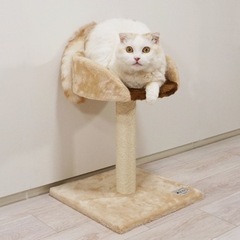 キャットタワー　ほぼ新品未使用の画像