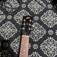 セミアコ　ギターの画像