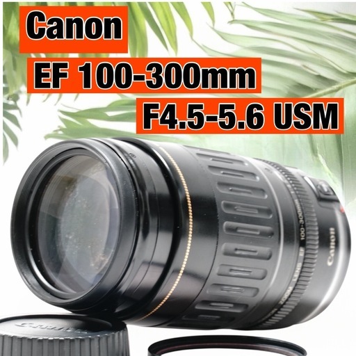 Canon ef 100-300mm ウルトラソニック 望遠レンズ キヤノン