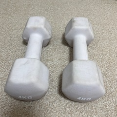 4kg ダンベル 2個セットの画像