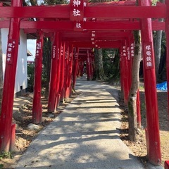 九州の20代〜30代のグルチャ募集♫