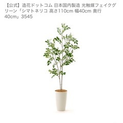 フェイクグリーンの画像