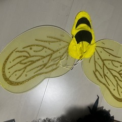 【ハロウィンコスプレ】ハチの画像