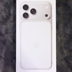 【新品未開封】iPhone17ProMax 256GB シルバー 国内版 SIMフリー アップル正規品 対面受け渡しのみ可能の画像