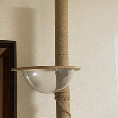 キャットタワーの画像
