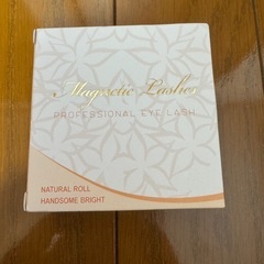 【新品】[磁石つけまつ毛]Magnetic Lashes ナチュラル　CT10-01の画像