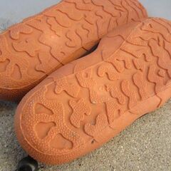 🍊マリンシューズの画像