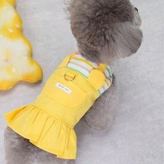 ペット服の画像