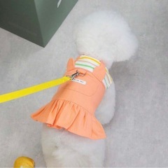 ペット服の画像