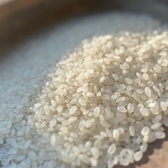令和七年度 新米【朝日米】❣️れんげ農法30㎏ 精米OK🙆‍♀️の画像