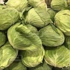 野菜果実（トマト・キャベツ・玉ねぎ・人参・いも等）の画像