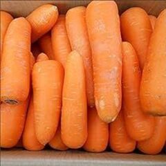 野菜果実（トマト・キャベツ・玉ねぎ・人参・いも等）の画像