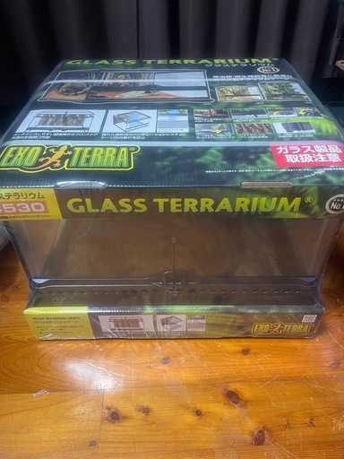 グラステラリウム４５３０ 本日25日限定！