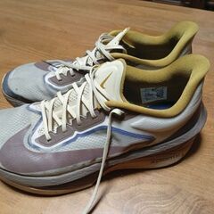 ☆必見☆良品☆NIKEズームフライ6 モスグリーン 28.5cmの画像