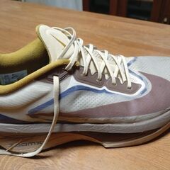 ☆必見☆良品☆NIKEズームフライ6 モスグリーン 28.5cmの画像