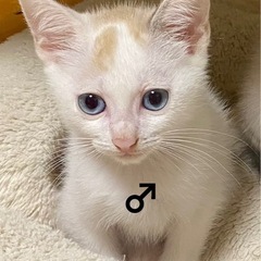 生後2ヶ月　男の子