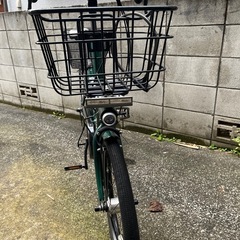 20インチ自転車　フリーパワー　RootOneの画像