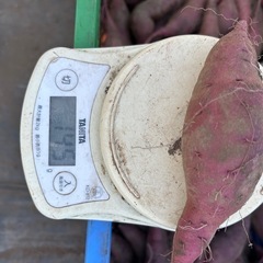 さつま芋　新物(紅はるか) S サイズ　8Kg  1袋 [g]の画像