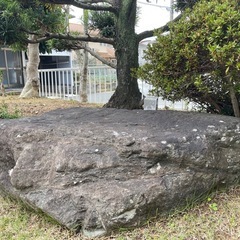 庭の石🪨&樹木🌲の画像