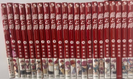 初版全巻セット22巻龍と虎 高橋和希 【美品】龍と苺　全巻セット22巻