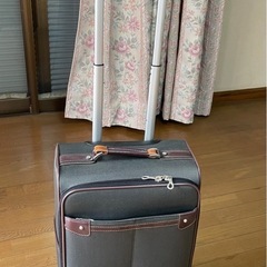 ※引取り限定‼️旅行バックの画像