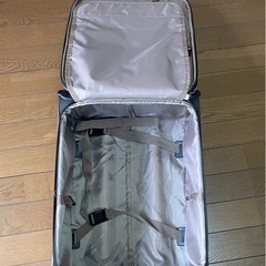 ※引取り限定‼️旅行バックの画像