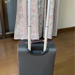 ※引取り限定‼️旅行バックの画像