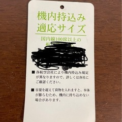 ※引取り限定‼️旅行バックの画像