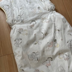 乳幼児ダウンスリーパーの画像