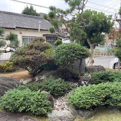 庭の石🪨&樹木🌲の画像