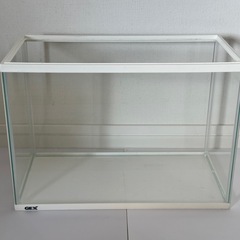 【決まりました】水槽 メダカ用品の画像
