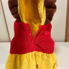 美品　ハロウィンに　プーさん
の画像