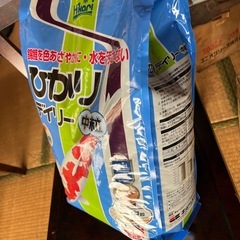 鯉の餌　4kg ひかりデイリー中粒　浮上性　魚の餌　の画像