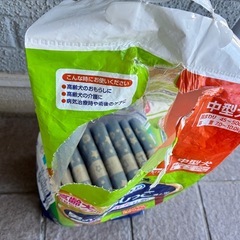 中型犬用オムツの画像