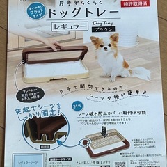 ドッグトレーの画像
