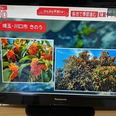 32インチ テレビの画像