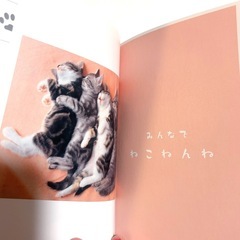 猫の写真集 ねこねんね ポストカード付き 仔猫の画像