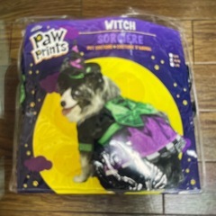 ハロウィン　犬　コスチューム　仮装の画像