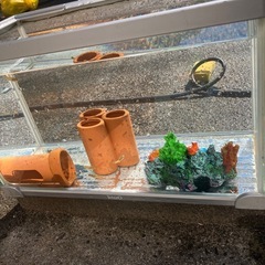 水槽の画像