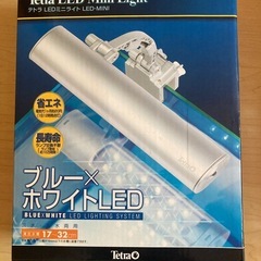水槽の画像